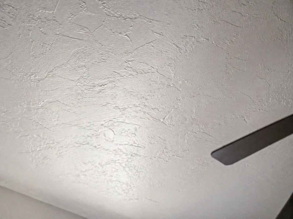 Ceiling Services inspiration — color and design example